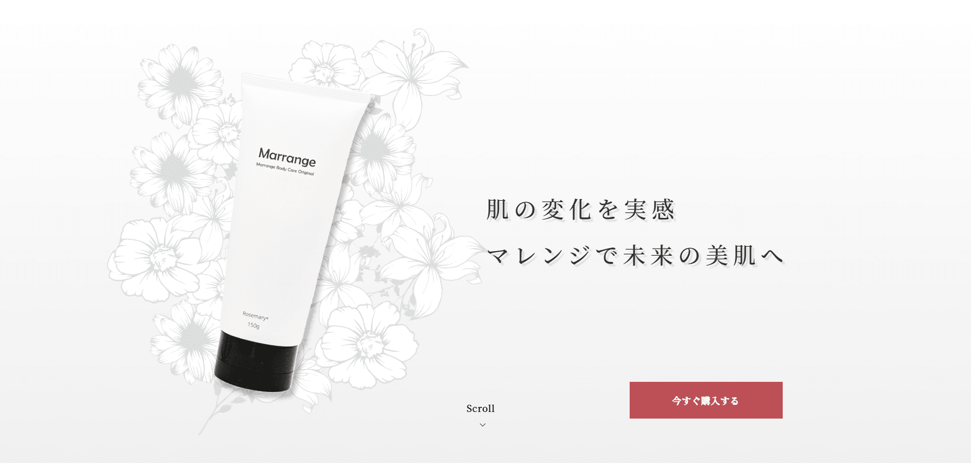 TerraceJのホームページ制作実績